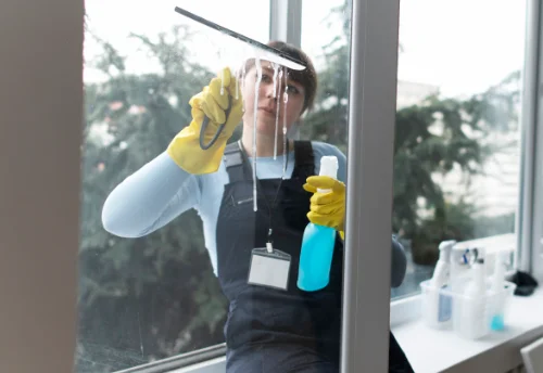 Nettoyage de vitres intérieures et extérieures à Campoussy